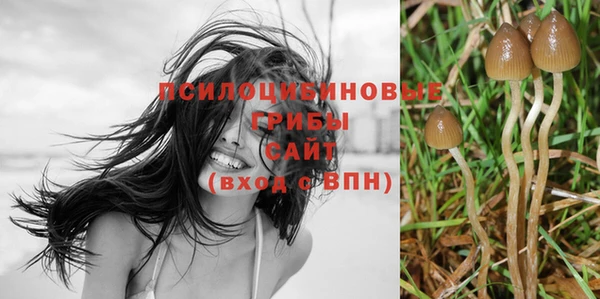 прущая мука Верхний Тагил