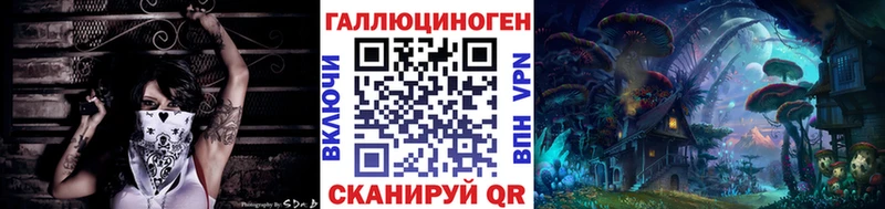 Псилоцибиновые грибы Psilocybe  Отрадная 